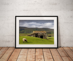 To buy a print or any of the below please click on the images